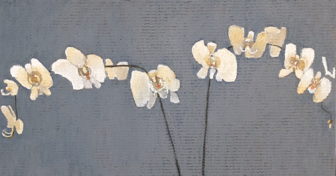 Oil Pastel of White Orchids on a grey background