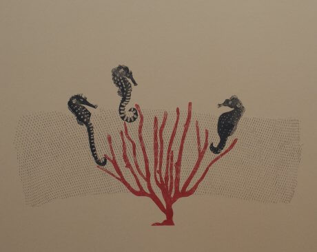 Three Sea Horses, coral and net