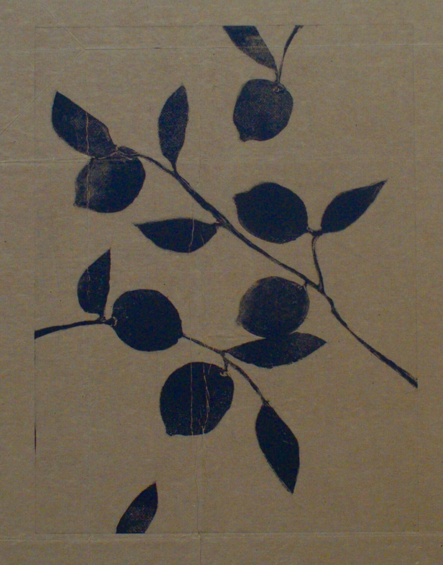 silhouetted leaf branches