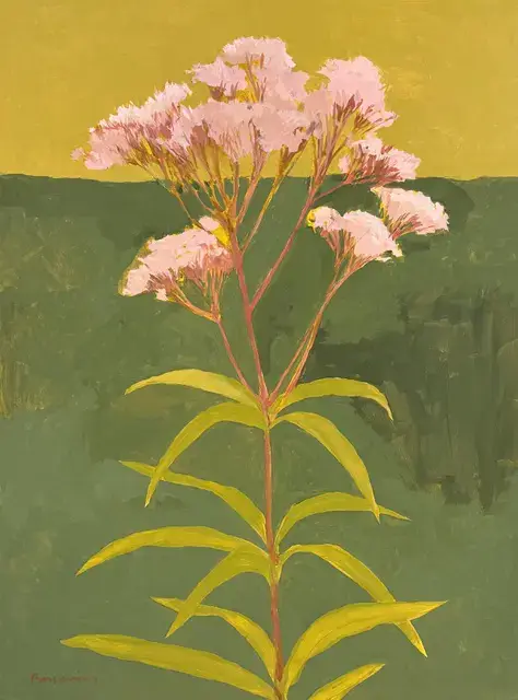 single stem of Joe Pye Weed with pink flowers on a green and yellow background