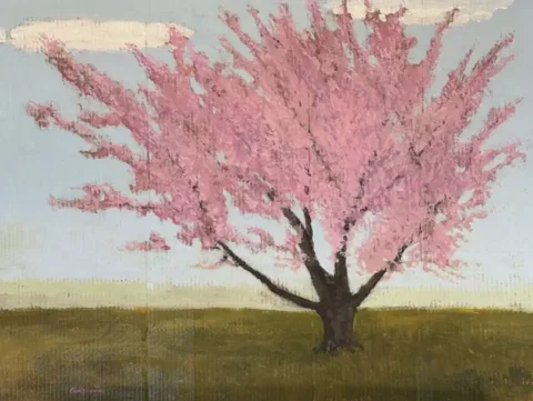 Tree with pink flowers in a green field with blue sky
