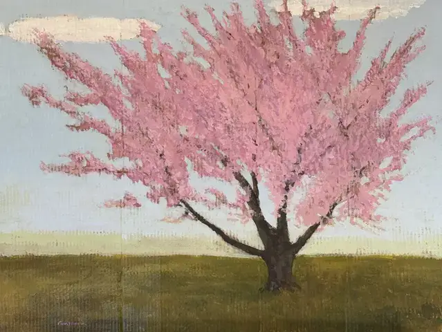 Tree with pink flowers in a green field with blue sky